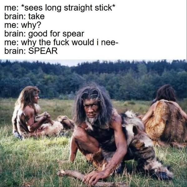 cave men - me sees long straight stick brain take me why? brain good for spear me why the fuck would i nee brain Spear