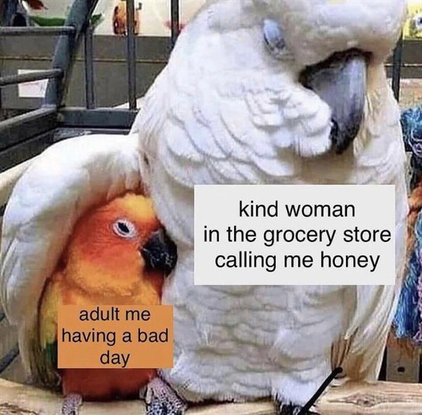 nice old black lady meme - kind woman in the grocery store calling me honey adult me having a bad day