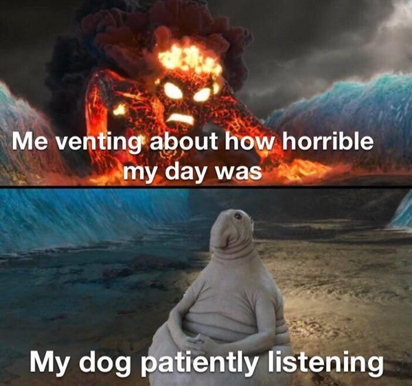 te ka vs zhdun - Me venting about how horrible my day was My dog patiently listening