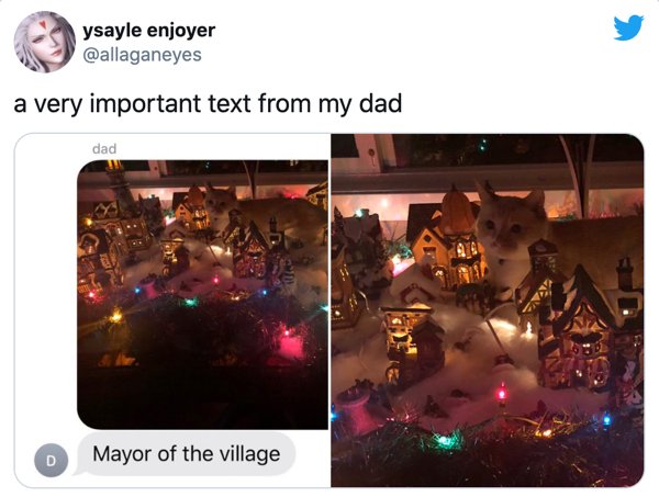ysayle enjoyer a very important text from my dad dad D Mayor of the village
