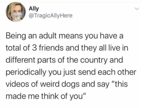 i m not jealous flavio - Ally Being an adult means you have a total of 3 friends and they all live in different parts of the country and periodically you just send each other videos of weird dogs and say "this made me think of you"