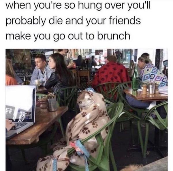 you re so hungover and you ll probably die - when you're so hung over you'll probably die and your friends make you go out to brunch Cel