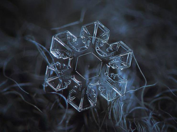 macro photography snowflake