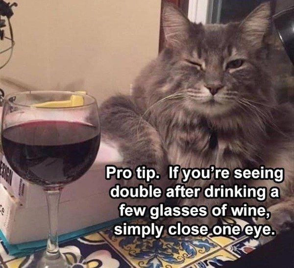 good morning friday animal funny - Pro tip. If you're seeing double after drinking a few glasses of wine, simply close one eye. 8