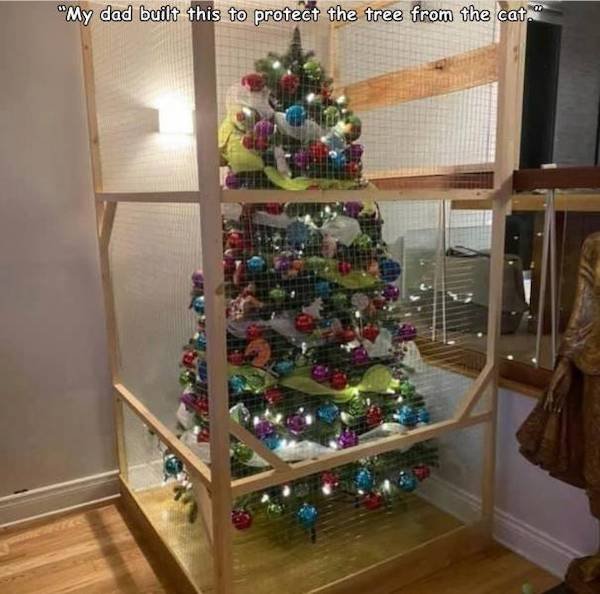 toddler proof christmas tree - "My dad built this to protect the tree from the cat."