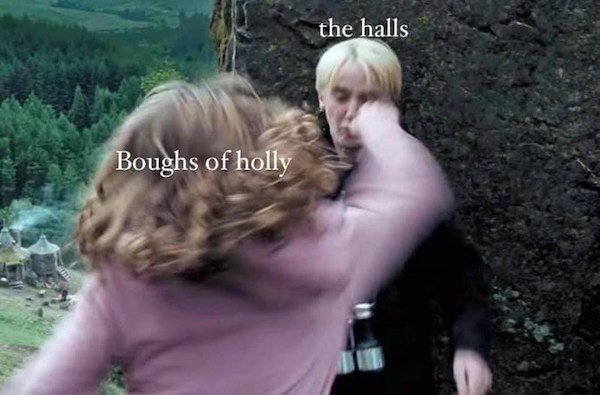hermione harry potter funny memes - the halls Boughs of holly
