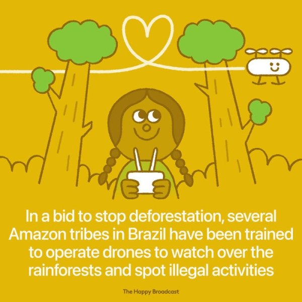 flower - In a bid to stop deforestation, several Amazon tribes in Brazil have been trained to operate drones to watch over the rainforests and spot illegal activities The Happy Broadcast