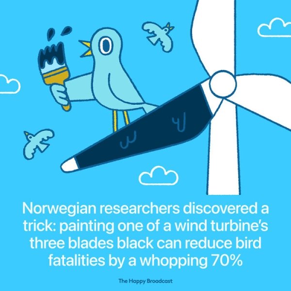 cartoon - Ej O u Norwegian researchers discovered a trick painting one of a wind turbine's three blades black can reduce bird fatalities by a whopping 70% The Happy Broadcast