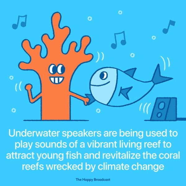 cartoon - Co Underwater speakers are being used to play sounds of a vibrant living reef to attract young fish and revitalize the coral reefs wrecked by climate change The Happy Broadcast