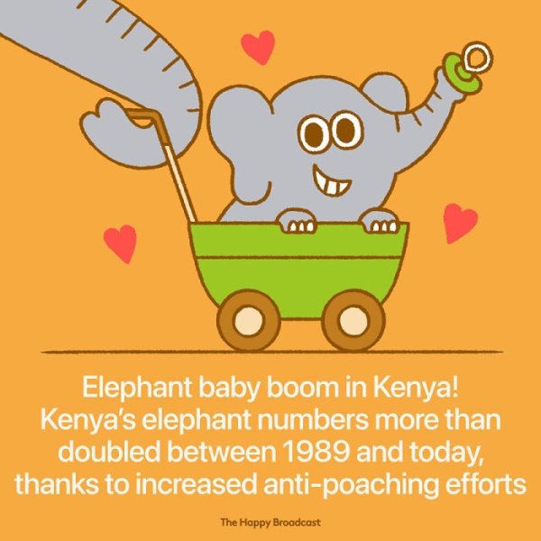 happy facts 2020 - Elephant baby boom in Kenya! Kenya's elephant numbers more than doubled between 1989 and today, thanks to increased antipoaching efforts The Happy Broadcast