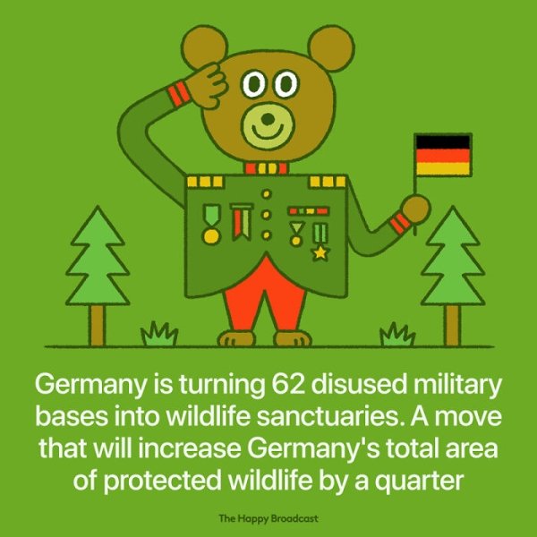 cartoon - 8T Germany is turning 62 disused military bases into wildlife sanctuaries. A move that will increase Germany's total area of protected wildlife by a quarter The Happy Broadcast