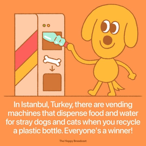 cartoon - O A In Istanbul, Turkey, there are vending machines that dispense food and water for stray dogs and cats when you recycle a plastic bottle. Everyone's a winner! The Happy Broadcast