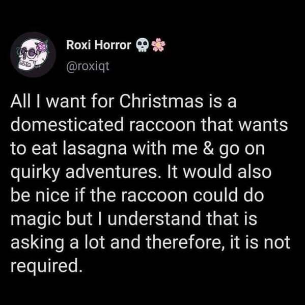 people who make time for you - ho Roxi Horror All I want for Christmas is a domesticated raccoon that wants to eat lasagna with me & go on quirky adventures. It would also be nice if the raccoon could do magic but I understand that is asking a lot and the