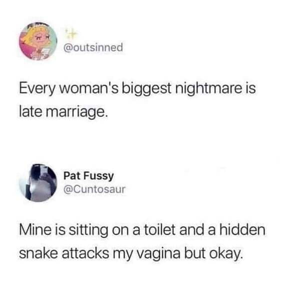 Every woman's biggest nightmare is late marriage. Pat Fussy Mine is sitting on a toilet and a hidden snake attacks my vagina but okay.