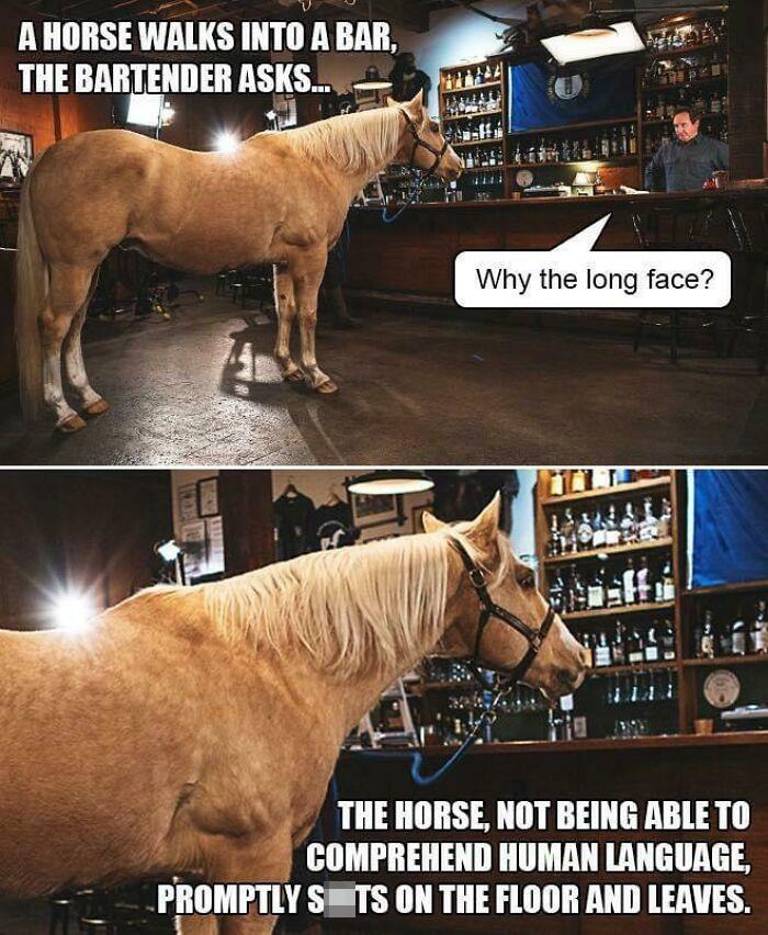 horse walks into a bar - A Horse Walks Into A Bar, The Bartender Asks... Why the long face? The Horse, Not Being Able To Comprehend Human Language, Promptly S Ts On The Floor And Leaves.