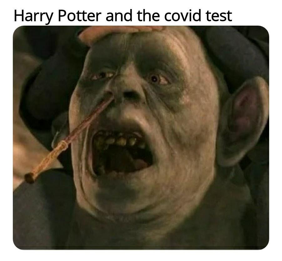 funny pictures - Harry Potter and the covid test