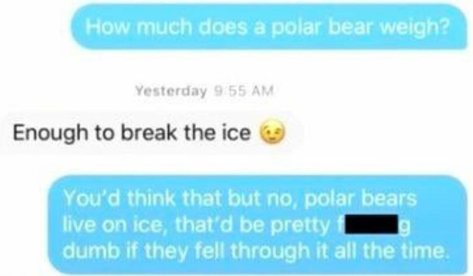 online advertising - How much does a polar bear weigh? Yesterday Enough to break the ice You'd think that but no, polar bears live on ice, that'd be pretty dumb if they fell through it all the time.