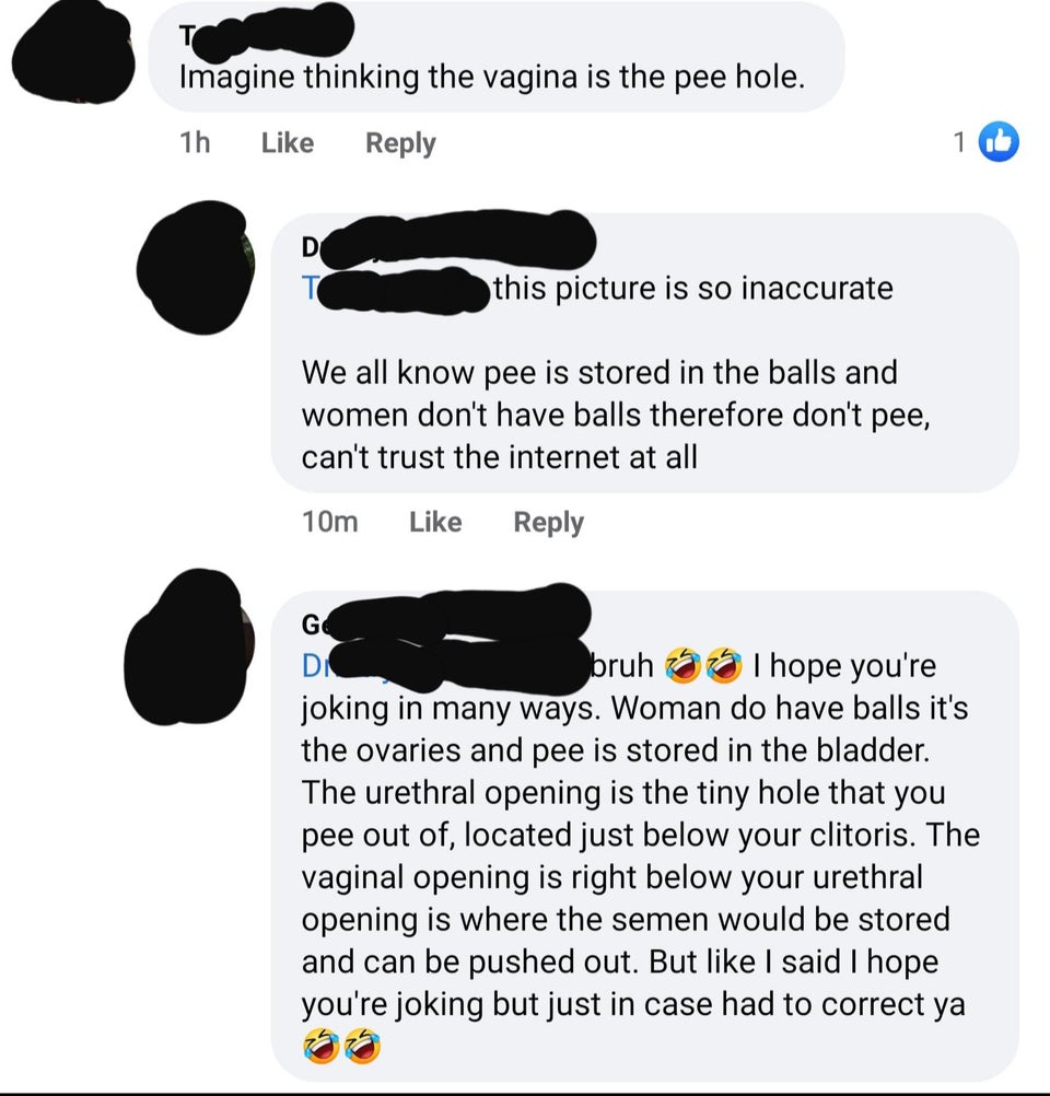 angle - Imagine thinking the vagina is the pee hole. 1h 1 D T this picture is so inaccurate We all know pee is stored in the balls and women don't have balls therefore don't pee, can't trust the internet at all 10m Go Di bruh I hope you're joking in many 