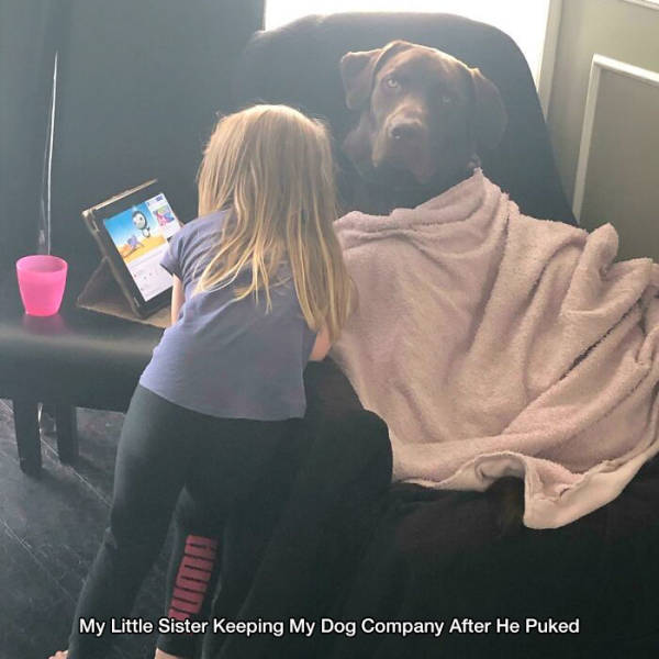 wholesome pics - dog - My Little Sister Keeping My Dog Company After He Puked