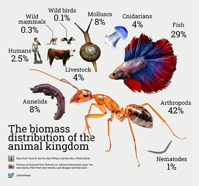 animal sanctuary - Wild birds Wild 0.1% mammals 0.3% Molluscs 8% Cnidarians 4% Fish 29% Humans 2.5% Livestock 4% Annelids 8% Arthropods 42% The biomass distribution of the animal kingdom Oh Data from Yinon M. Baron, Rob Phillips, and Ron Milo. Pnas 2018 P