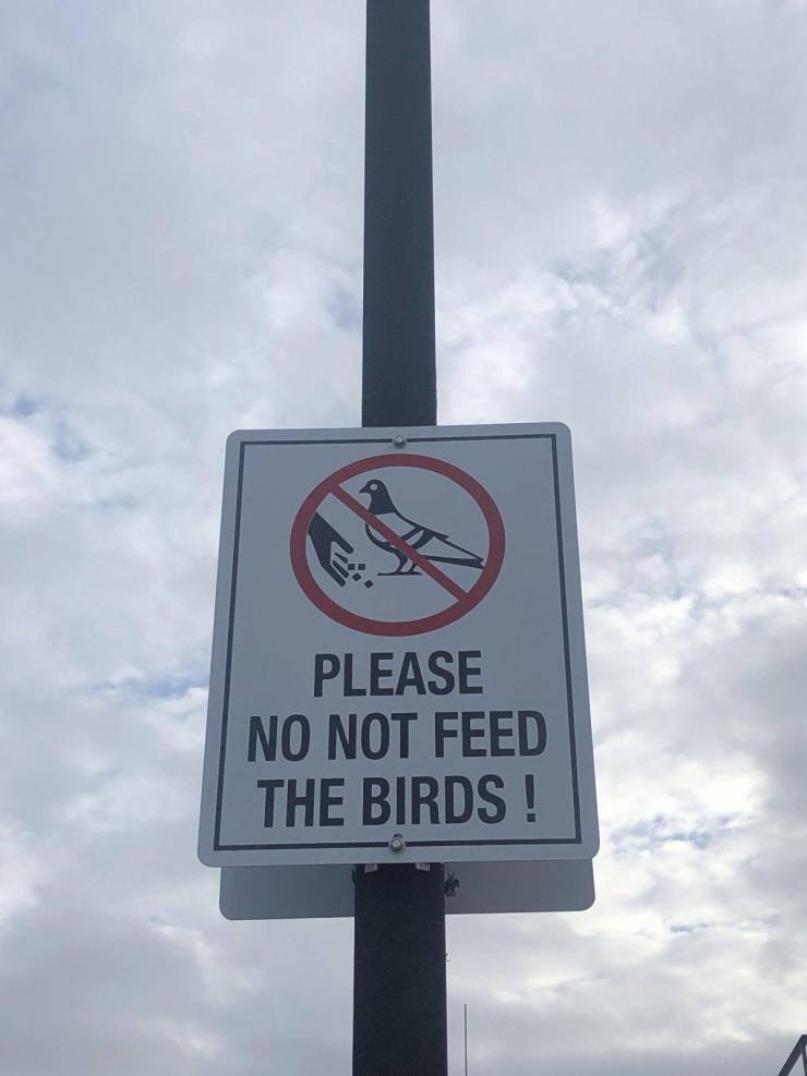 sign - Please No Not Feed The Birds!