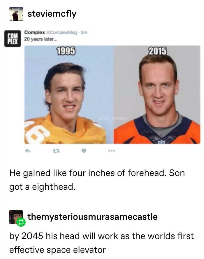 funny math jokes - 20 years later... 1995 2015 He gained four inches of forehead. Son got a eighthead. - by 2045 his head will work as the worlds first effective space el