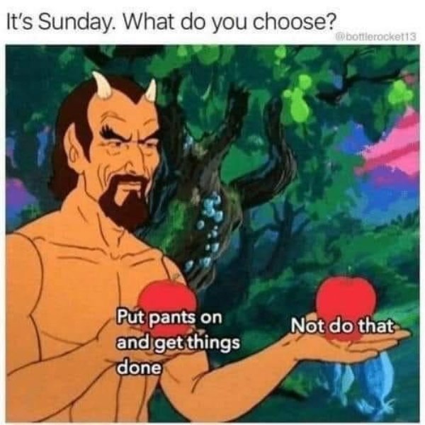 welcome to the internet choose wisely - It's Sunday. What do you choose? bottlerocket13 Not do that Put pants on and get things done