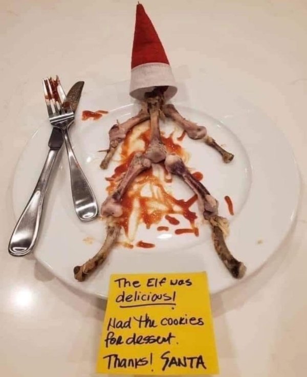 elf on the shelf meme - The Elf was delicious! Had the cookies for dessert. Thanks! Santa