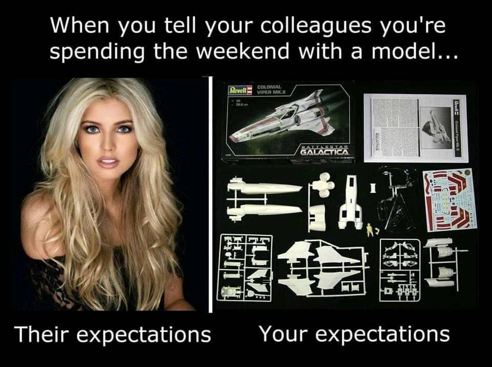 photo caption - When you tell your colleagues you're spending the weekend with a model... Revell Colonial Viper Mkii Ce Cm Wattleitar Galactica Ya Ur Their expectations Your expectations
