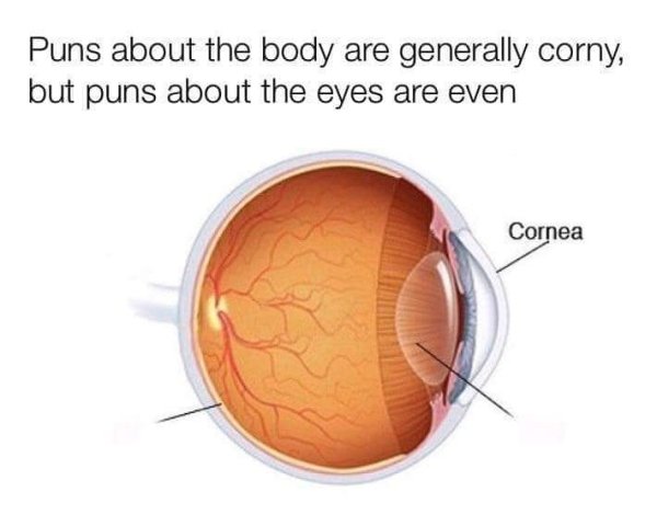 eye - Puns about the body are generally corny, but puns about the eyes are even Cornea