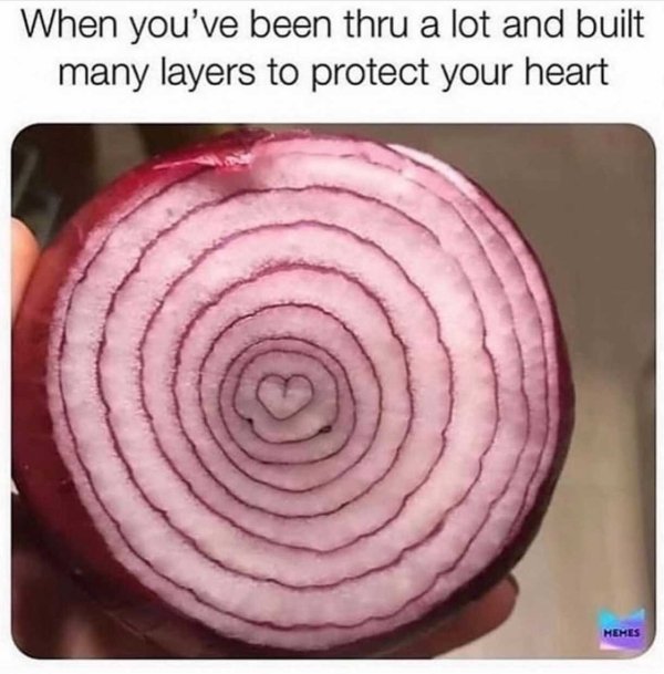 onion layers meme - When you've been thru a lot and built many layers to protect your heart Hehes