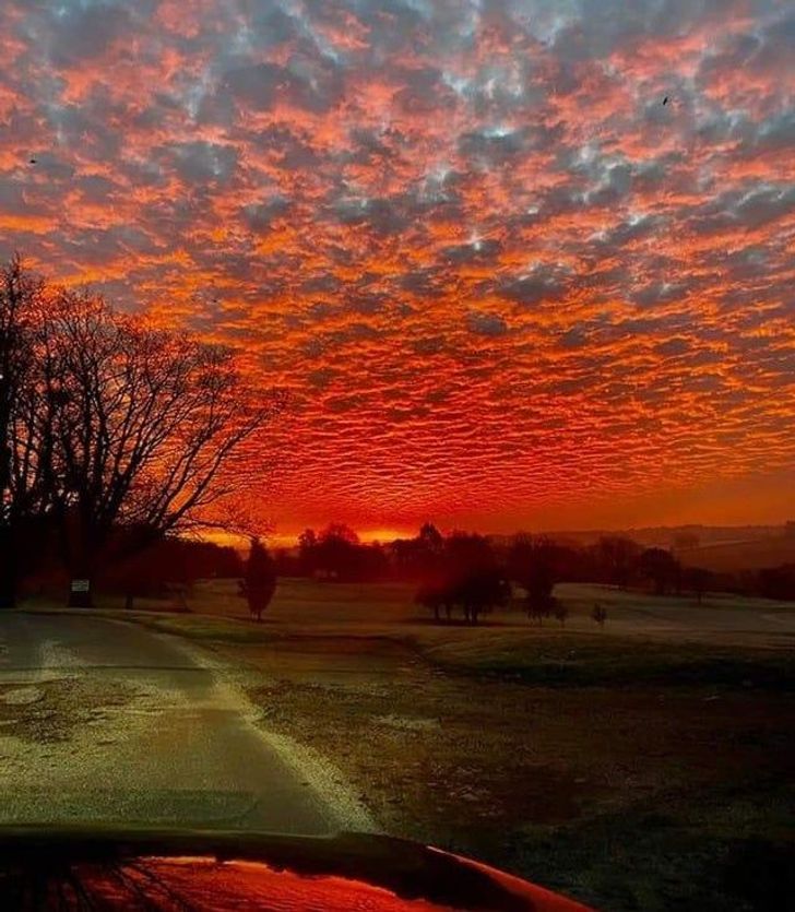 “My dad took this shot of the sunrise at his work this morning and I thought he should share it on the internet!”