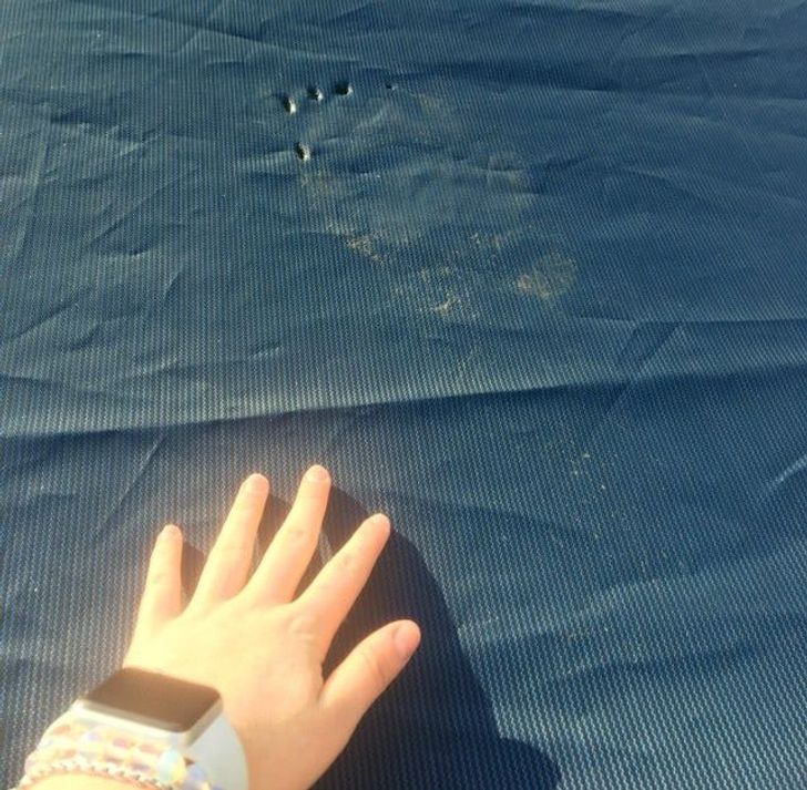 A bear stepped on the pool cover.