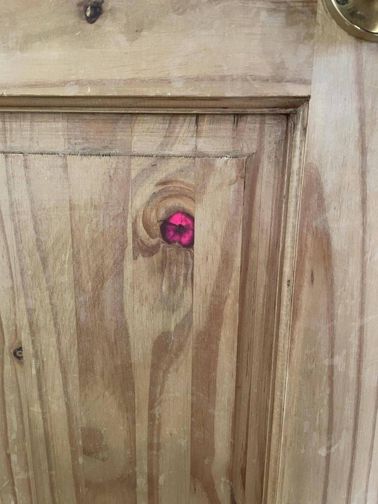 “This knot on our door glows red when the sun shines on the other side.”