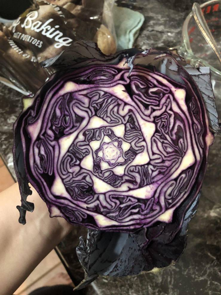 “The inside of my purple cabbage.”