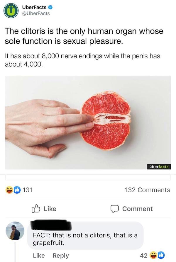 technically correct - Clitoris - O UberFacts The clitoris is the only human organ whose sole function is sexual pleasure. It has about 8,000 nerve endings while the penis has about 4,000. berfacts 131 132 Comment Fact that is not a clitoris, that is a gra