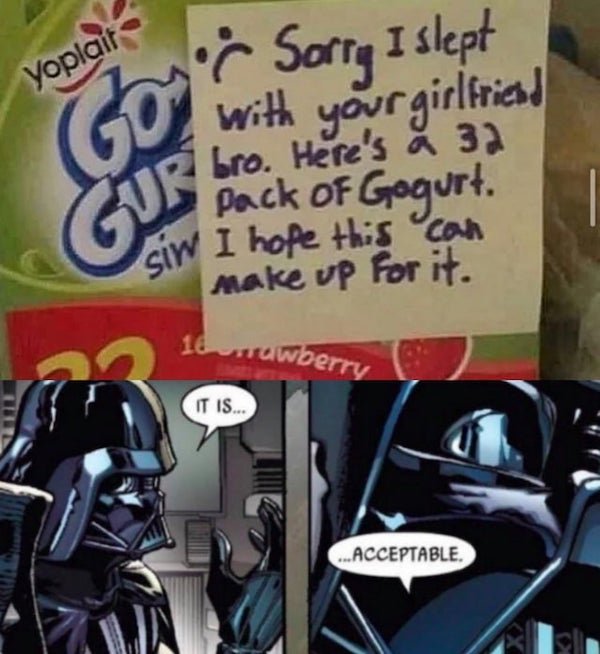funny depressions memes and jokes - darth vader it is acceptable meme - Sorry I slept with your girlfriendbro. Here's a 32 pack of Gogurt to Make Up For it