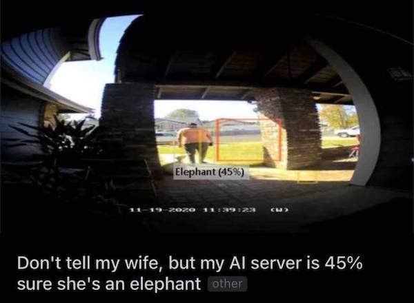 funny depressions memes and jokes - Don't tell my wife, but my Al server is 45% sure she's an elephant