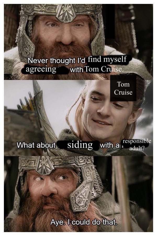 imposter among us memes - Never thought I'd find myself agreeing with Tom Cruise. Tom Cruise What about siding with a responsible adult? Aye. I could do that.
