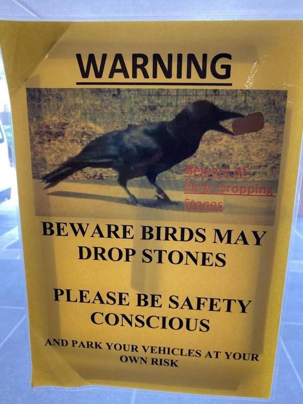 poster - Warning ropping anas Beware Birds May Drop Stones Please Be Safety Conscious And Park Your Vehicles At Your Own Risk