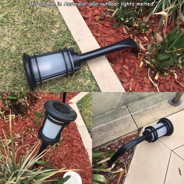 grass - "It's so hot in Australia, our outdoor lights melted."