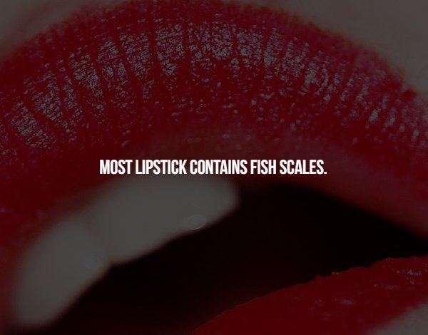 lip - Most Lipstick Contains Fish Scales. .