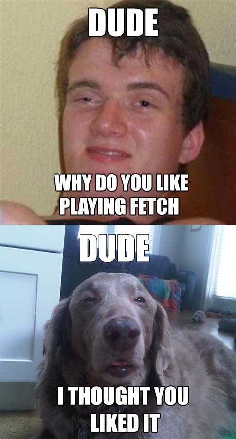 best funny memes - Dude Why Do You Playing Fetch Dude I Thought You d It