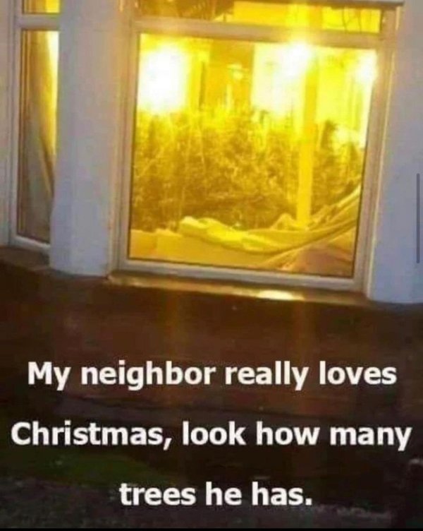 love my neighbour memes - My neighbor really loves Christmas, look how many trees he has.