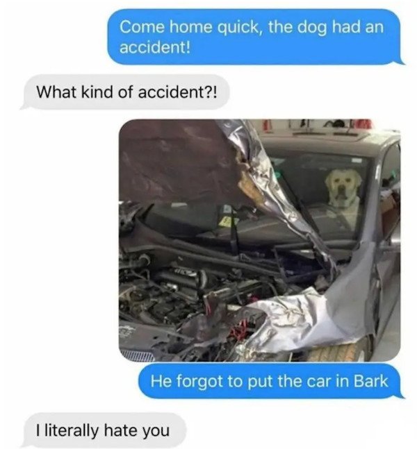 dumb text messages - Come home quick, the dog had an accident! What kind of accident?! He forgot to put the car in Bark I literally hate you