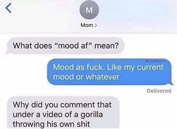 dumb text messages - What does mood af mean? - mood as fuck like my current mood or whatever