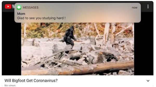 dumb text messages - Glad to see you studying hard ! Will Bigfoot Get Coronavirus?