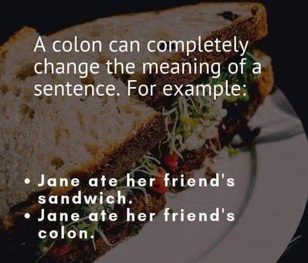 colon can completely change the meaning - A colon can completely change the meaning of a sentence. For example Jane ate her friend's sandwich. Jane ate her friend's colon.