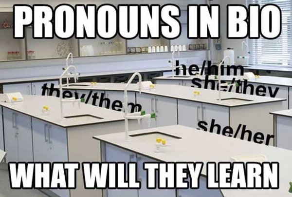 pronouns in bio what will they learn - Pronouns In Bio Chethim houthem, shethev sheher What Will They Learn