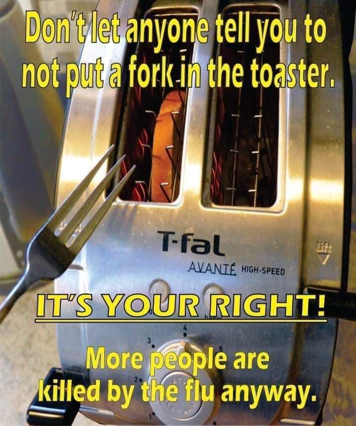 don t let anyone tell you not - Don't let anyone tell you to not put a fork in the toaster . Tfal Avant HighSpeed It'S Your Right! More people are killed by the flu anyway.